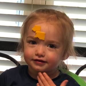 Meet your Posher, Nick